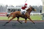 Rocket Du Closet trot monté